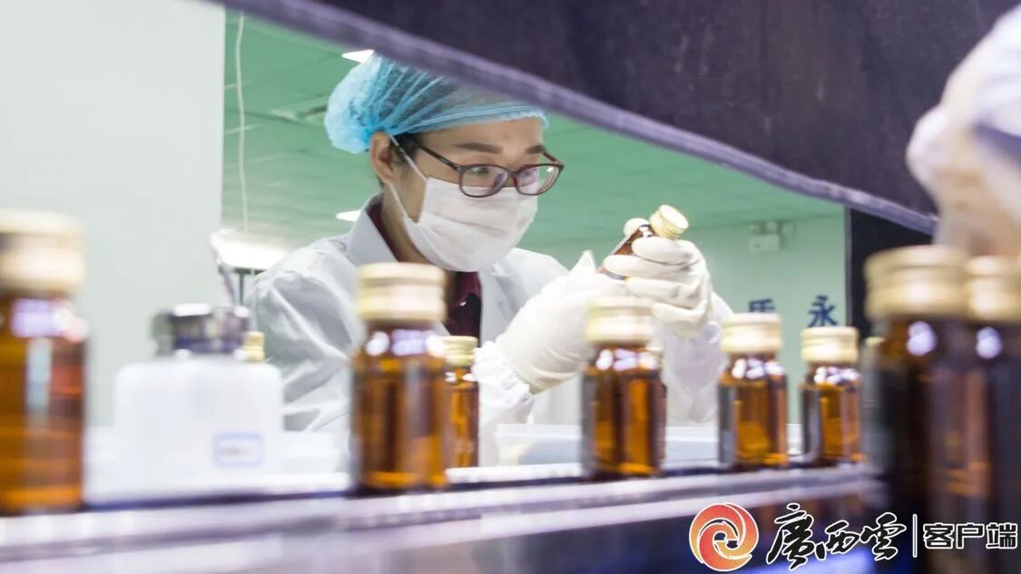 廣西日報(bào)聚焦天緣綠：從產(chǎn)品創(chuàng)新到行業(yè)標(biāo)準(zhǔn)，引領(lǐng)芭蕉健康產(chǎn)業(yè)升級